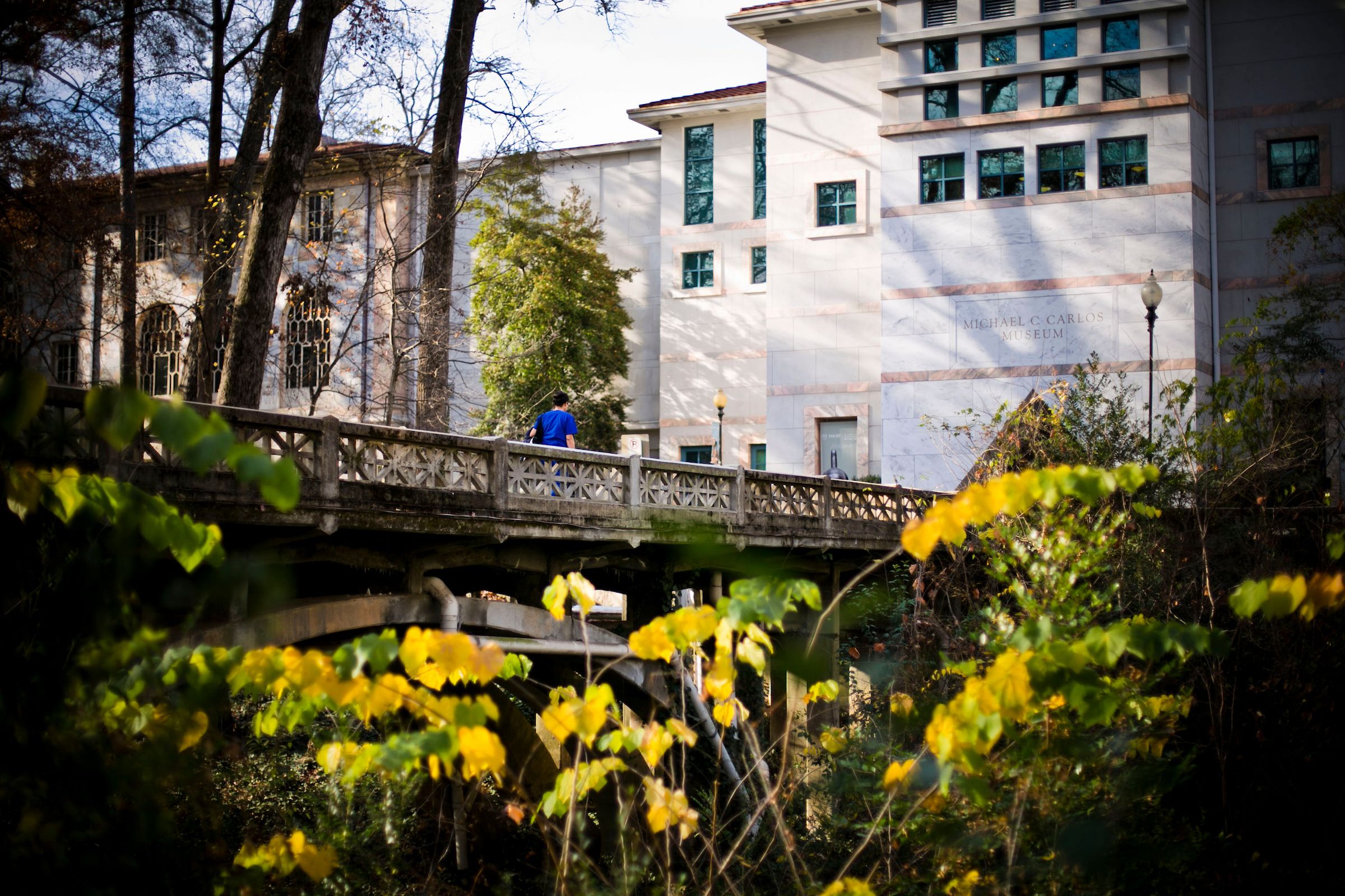 Bridge with flowers in foreground