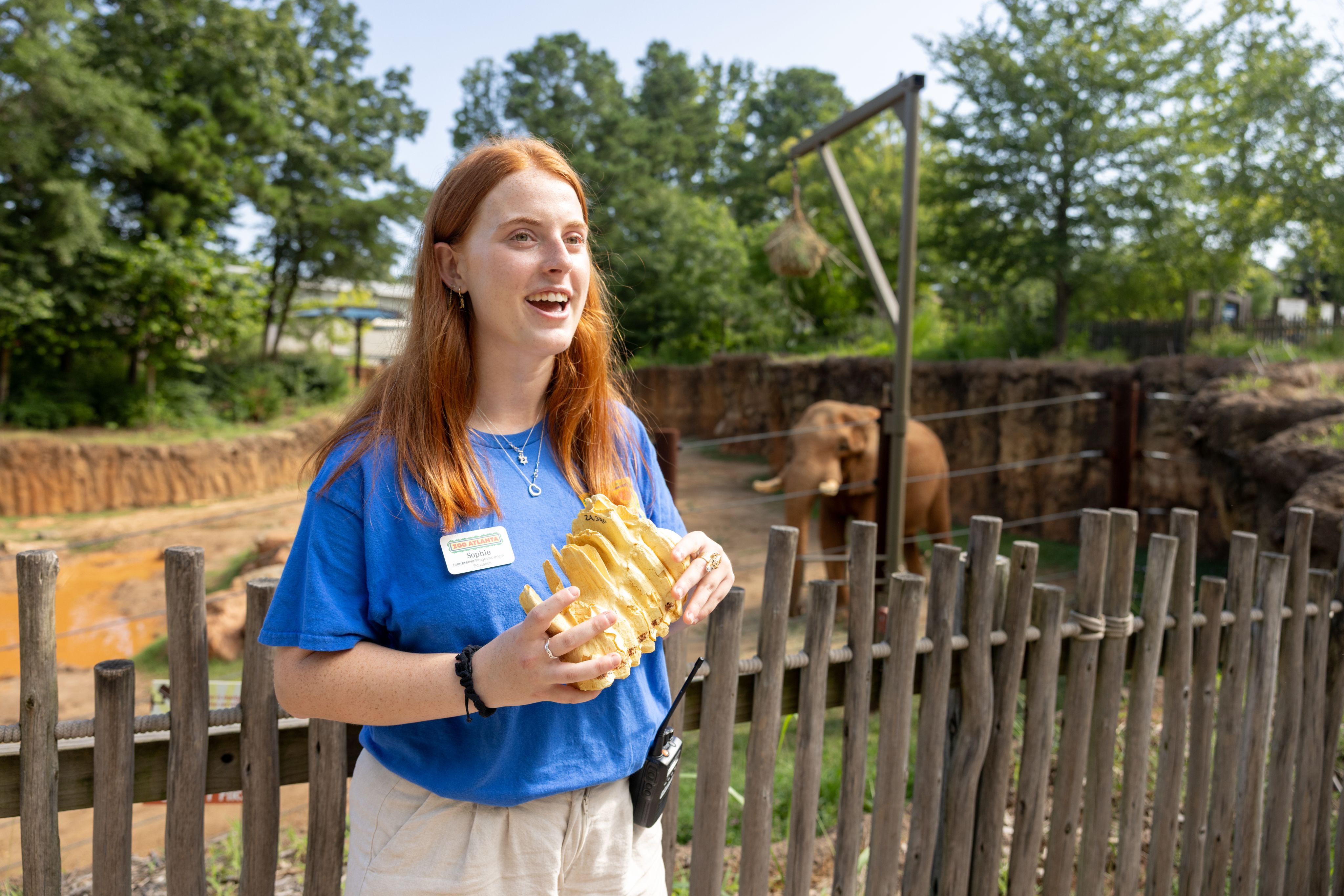 A young woman with long, red hair and a blue t-shirt holds a model elephant tooth in both hands. Behind her, in an enclosure, stands an elephant.