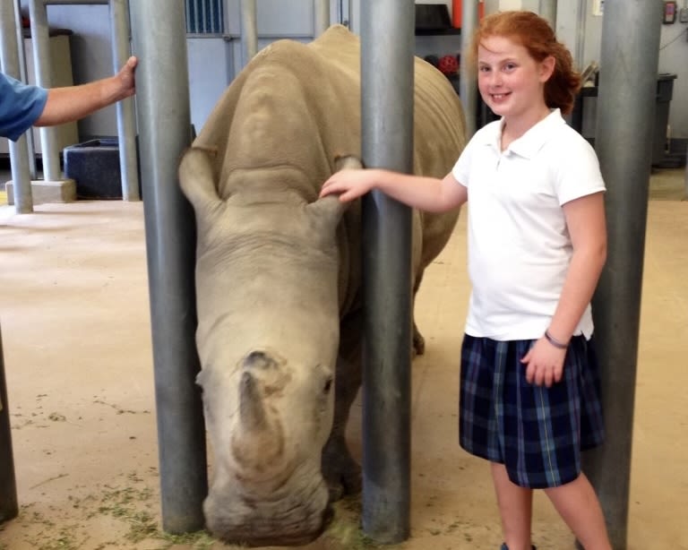 A child with long, red hair, wearing a plaid skirt, poses, smiling, with her hand on the head of a white rhinoceros in an indoor zoo environment. In the photo below, the same woman, now a college student, stands, her arms confidently crossed, in front of a rhino enclosure with two rhinos in it.