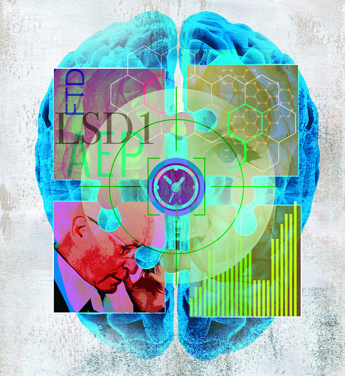 Illustration of the brain