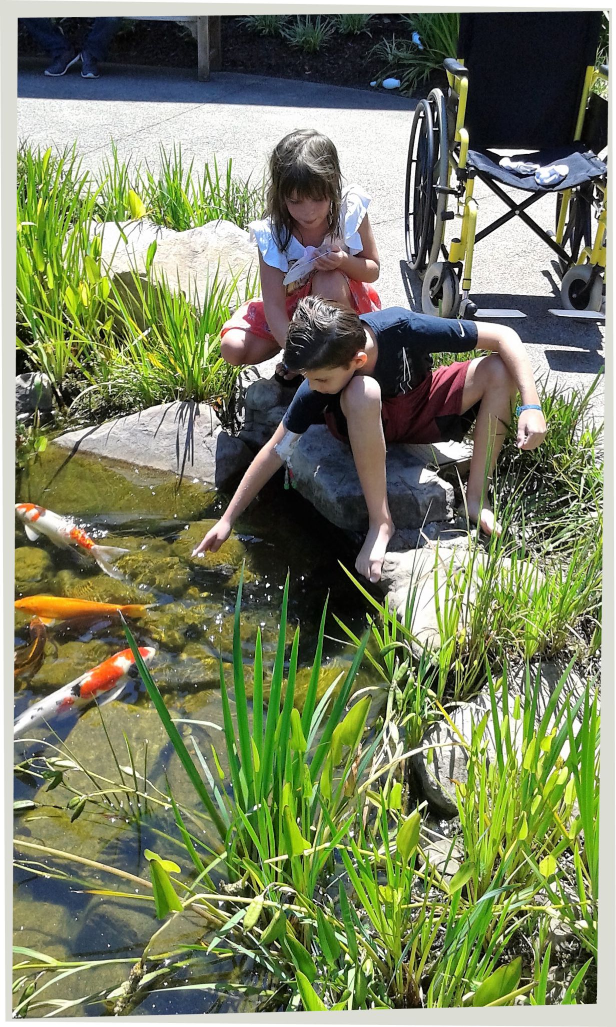 Brayden sits on a rock in front of his wheelchair feeding the fish at a hospital garden koi pond with his sister, Jessica, nearby.