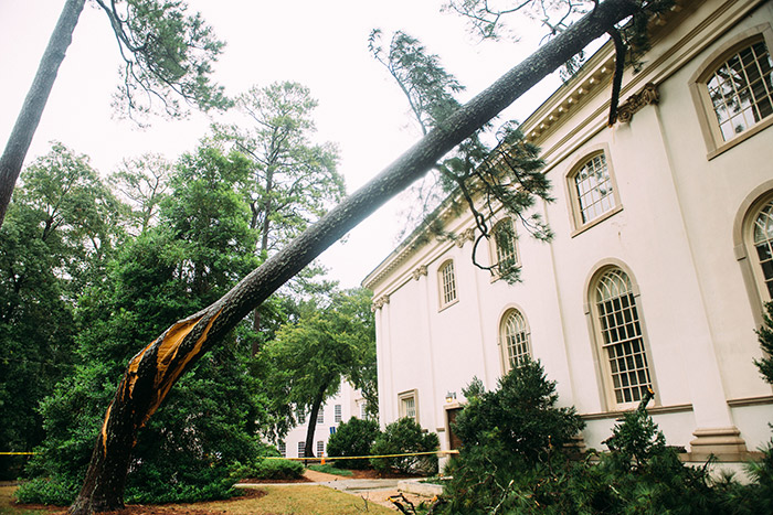 A large tree leans on Glenn Auditorium after the storm.