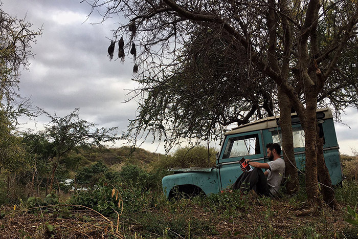 A young man reads a book under a tree next to an old car.