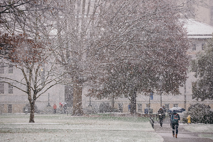 Students carry umbrellas, shielding them from the fluffy flakes falling during the winter snow day.