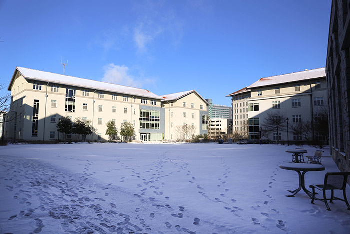 Emory's quad covered in snow