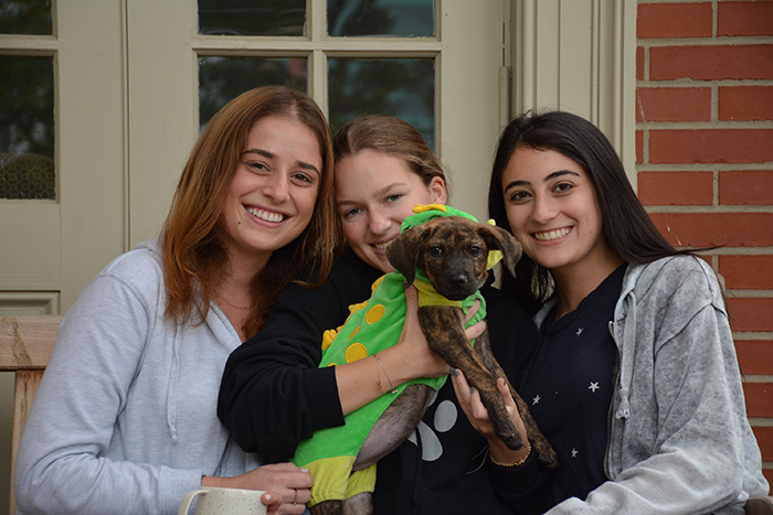 Three students hold a small dog in a dinosaur costume