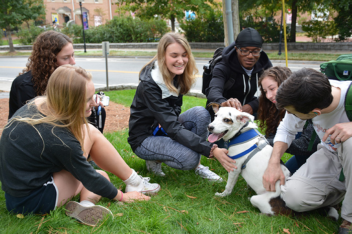 Several students kneel around a dog