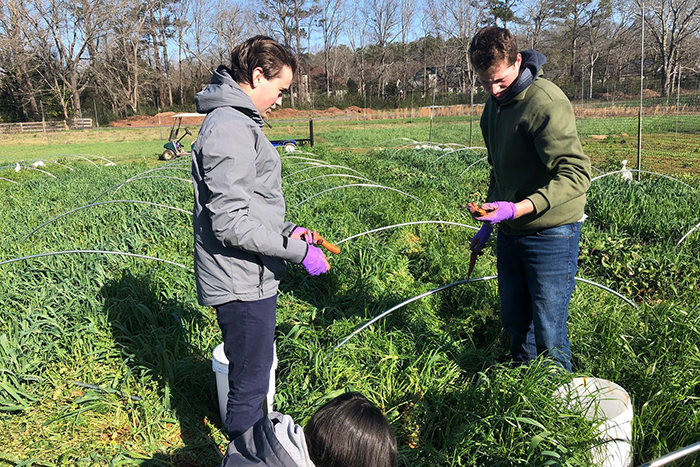 Students work in a garden for Oxford College's MLK Day of Service
