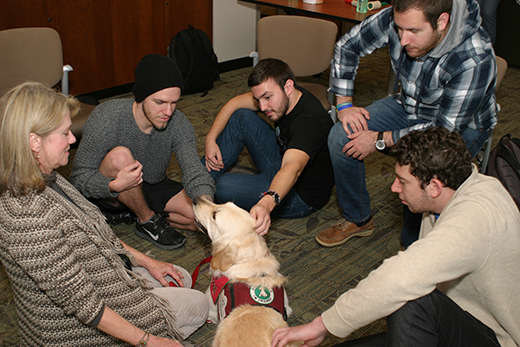 Students take a study break at last year's Pet Therapy Study Break at Emory's Woodruff Library. 