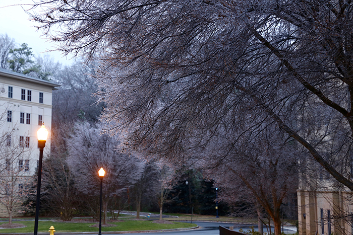 Photo of Emory campus exteriors coated in ice