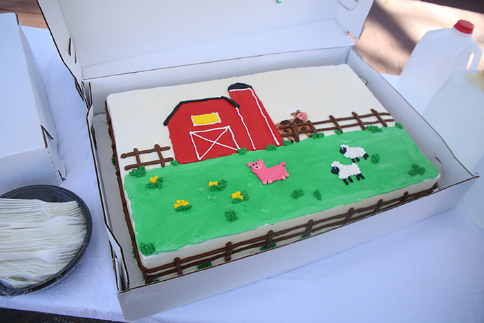 cake decorated with barnyard scene