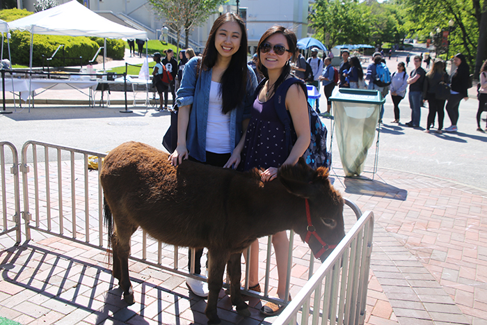 two women pose with miniature pony