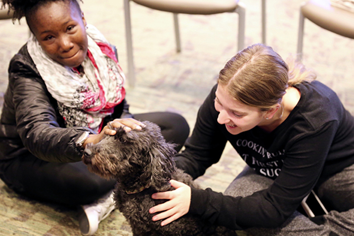 Students with pet therapy dogs fall semester 2016