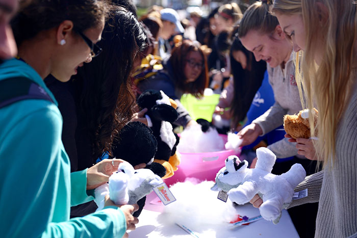 Several women students work on both sides of a table to add stuffing to Valentine's Day toy animals.