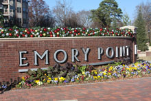 Emory Point