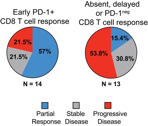 Outcomes from the study