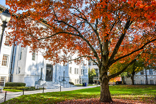 Emory receives high rankings in latest Princeton Review survey