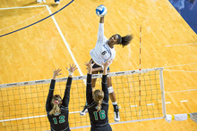 Emory welcomes return to University Athletic Association conference competition