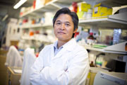 Emory biomedical researcher elected to the American Association for the Advancement of Science