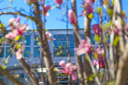 Spring semester brings new faculty, programs and events to Emory 