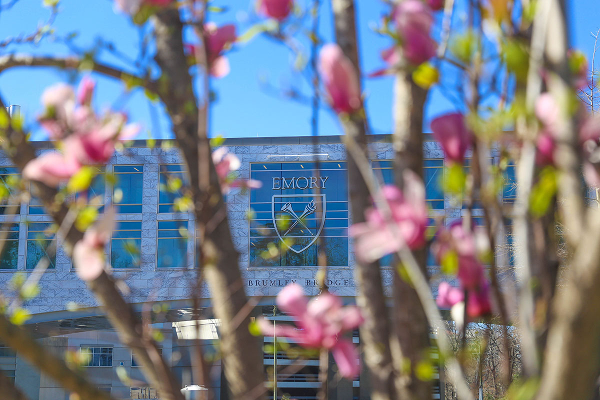 Flowers in the foreground of Brumley Bridge