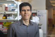 Emory faculty member receives NIH New Innovator Award for ‘lava lamp’ sensors to illuminate brain degeneration