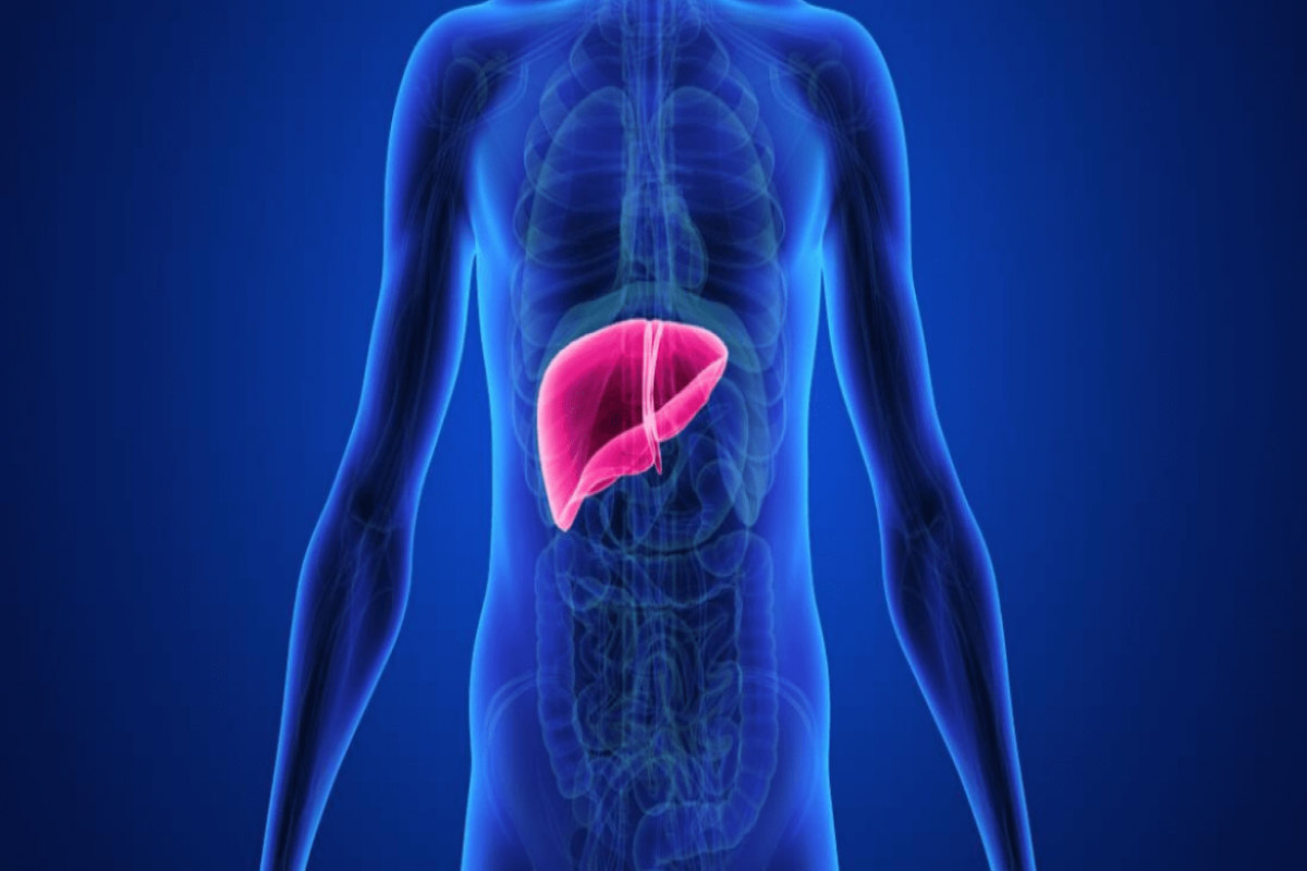 Medizinische Hochschule Hannover : MHH: New test improves diagnosis of rare  liver disease