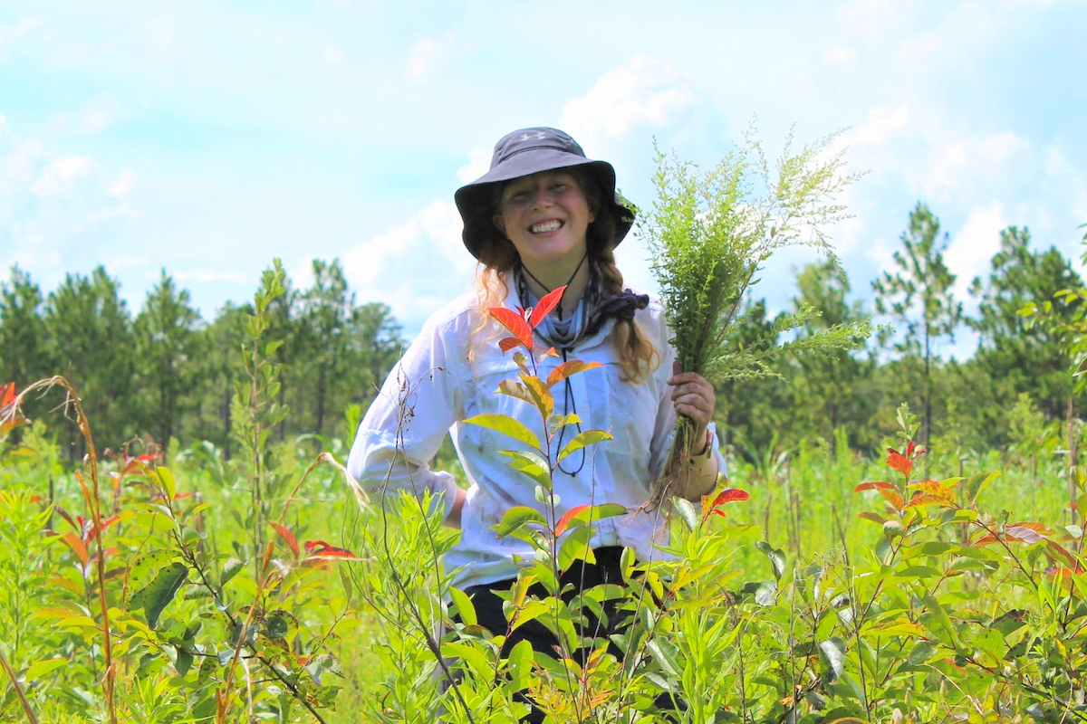 Photo: Risener in open field surrounded by waist-high plants and holding bundle of goldenrod