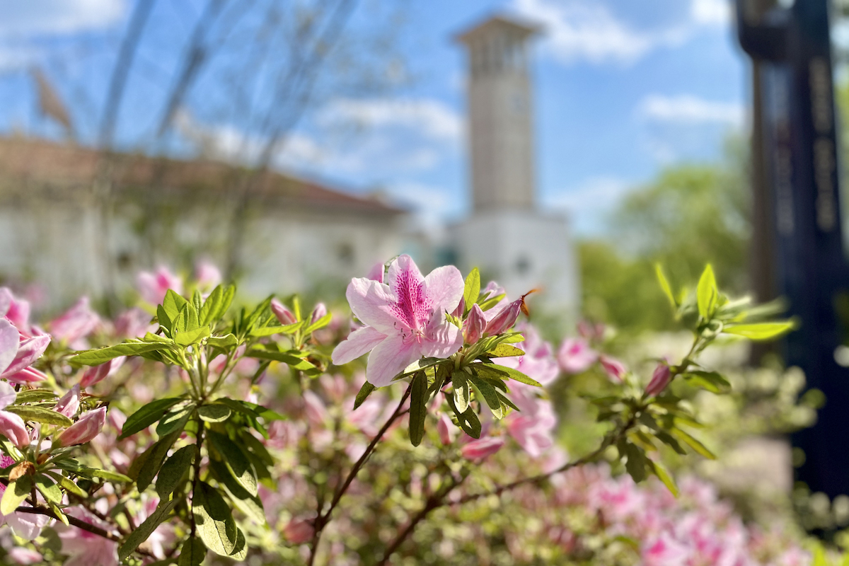 campus in spring