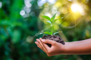 Six sustainability-focused activities for Earth Day