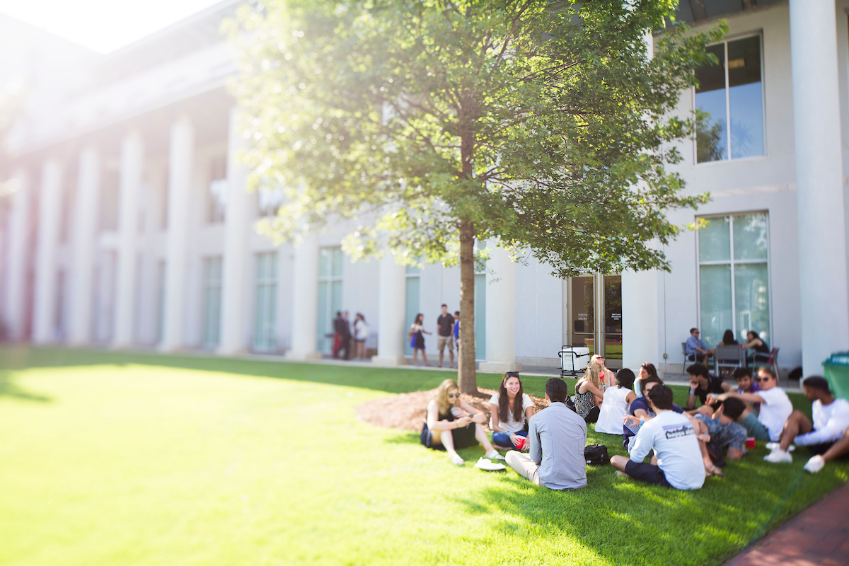 image of students sitting on grass