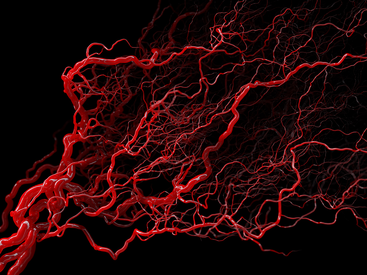 illustration of vascular system with blood cells on a black background