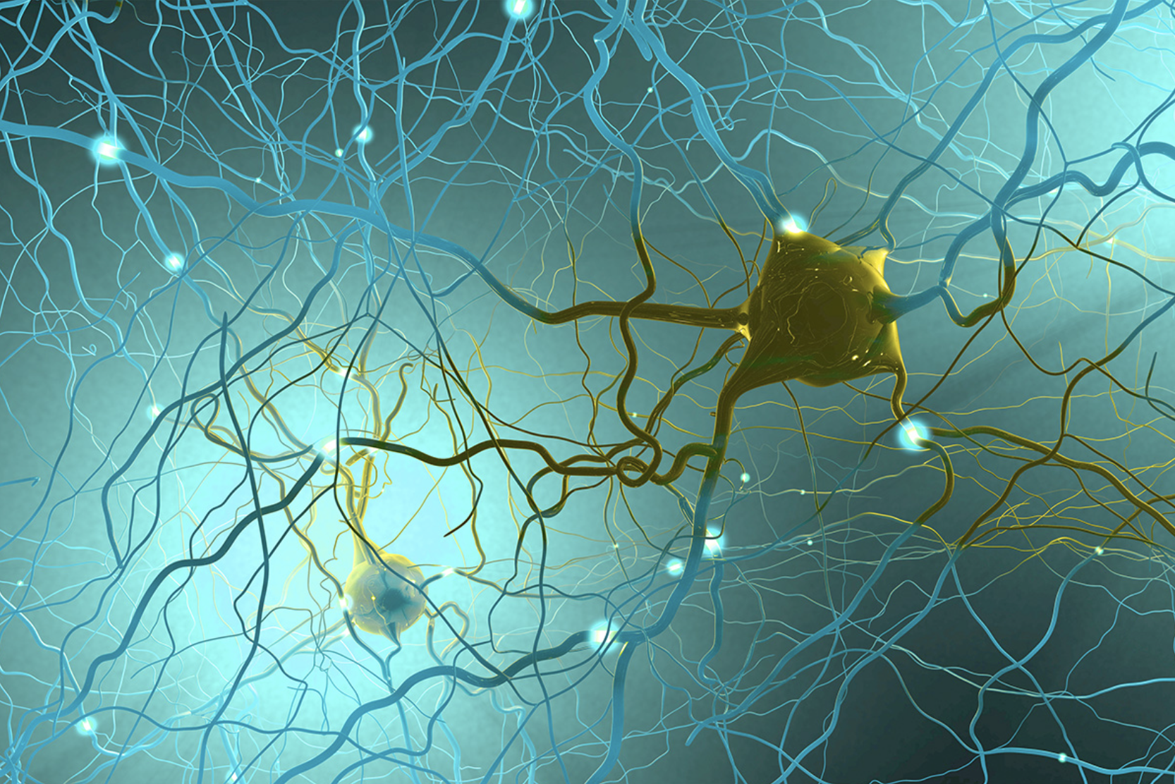 Image illustration of nerve cells in human brain