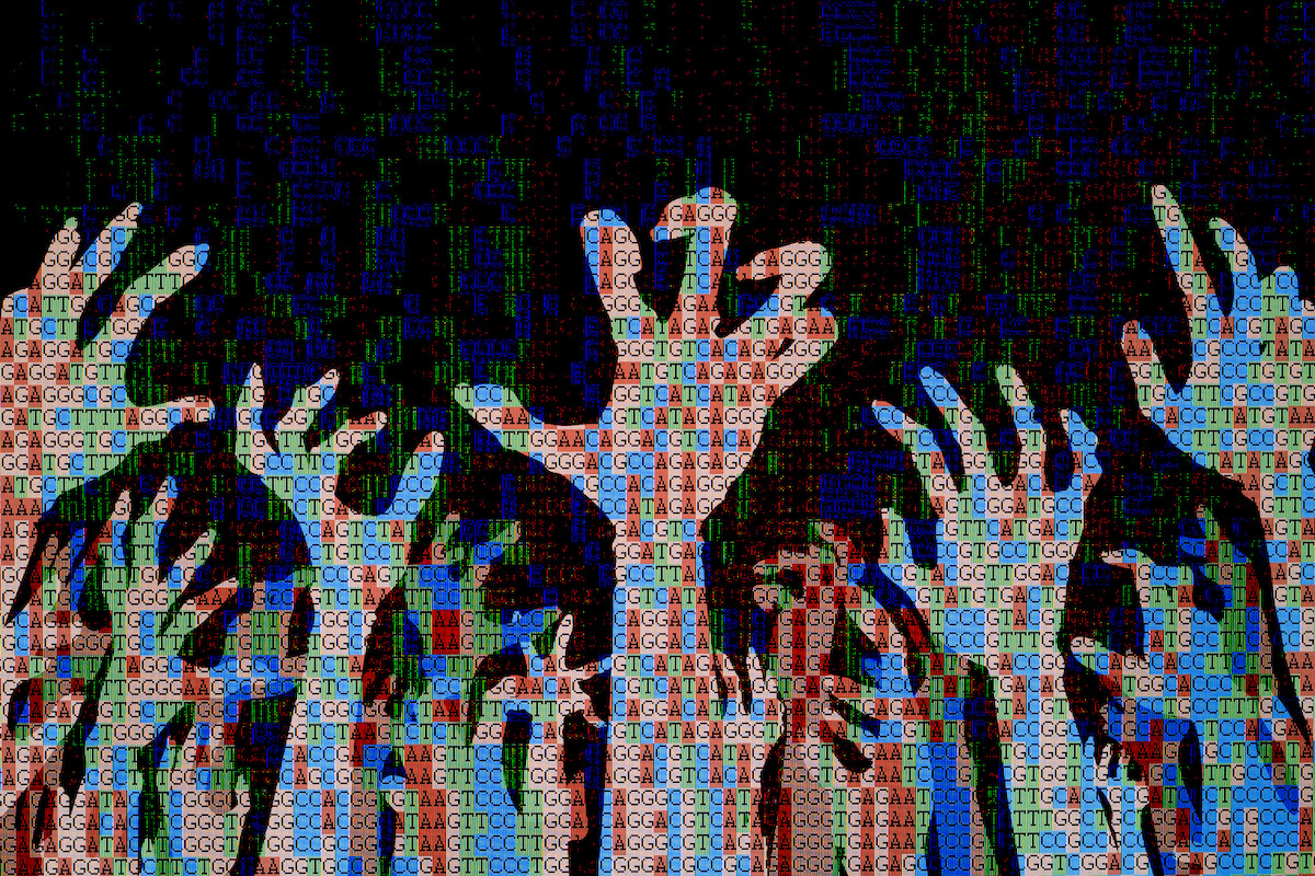 genetic zombies graphic with hands
