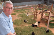 Emory primatologist Frans de Waal remembered for bringing apes ‘a little closer to humans’