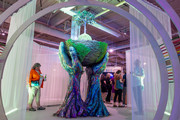 Science Gallery Atlanta’s ‘Resilient Earth’ imagines sustainable futures