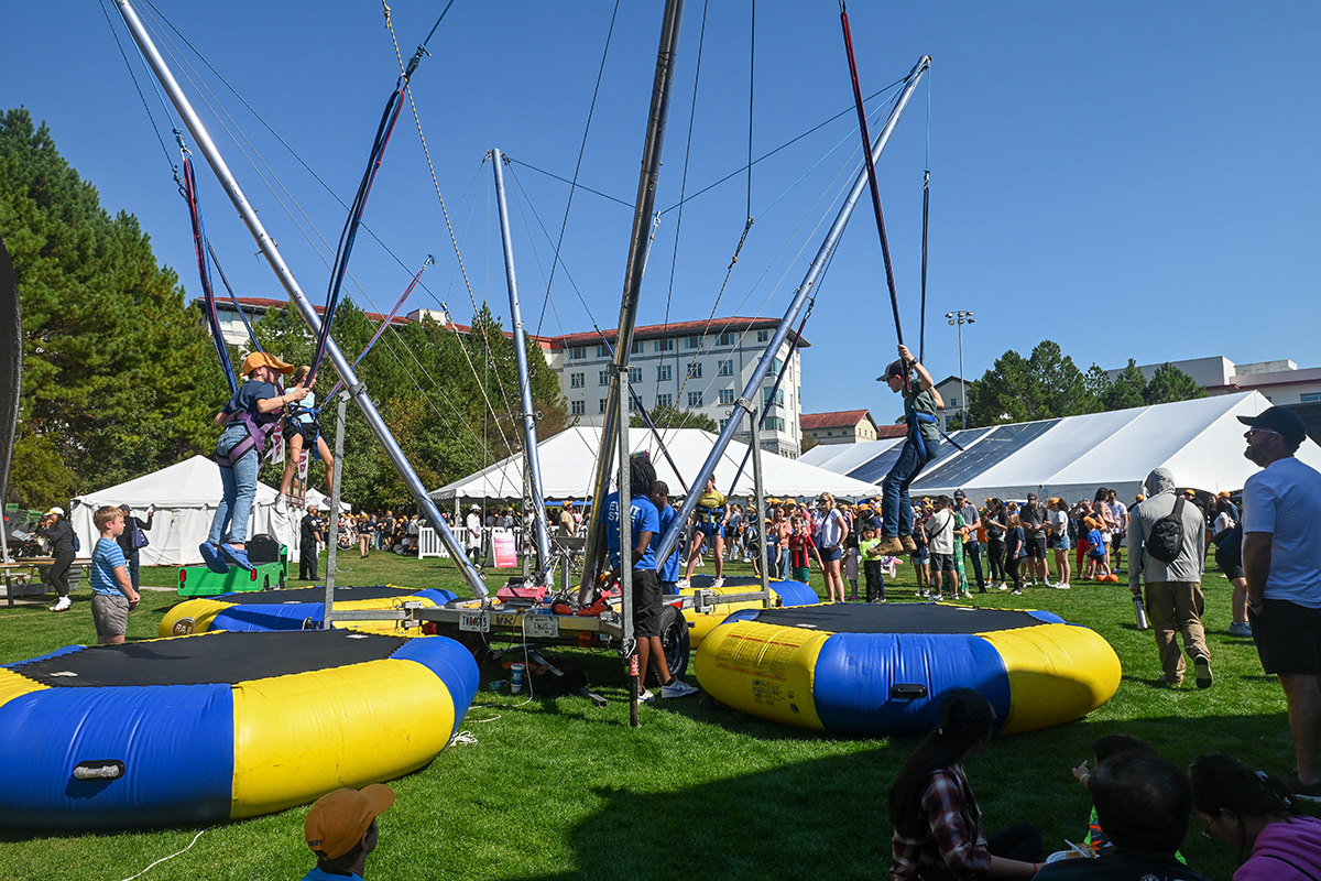 Bungee jumps on campus