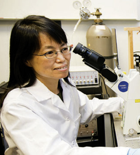 Prof. Chunhui Xu