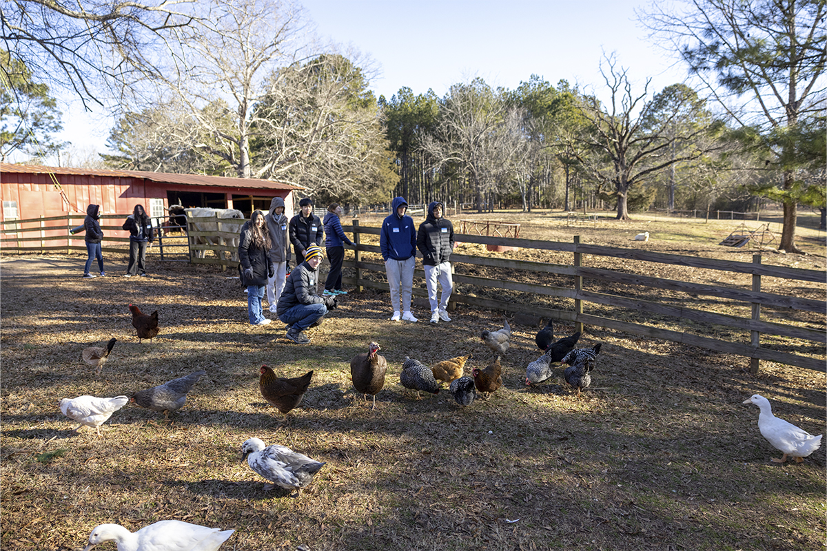 group of people in barnyard with chickens