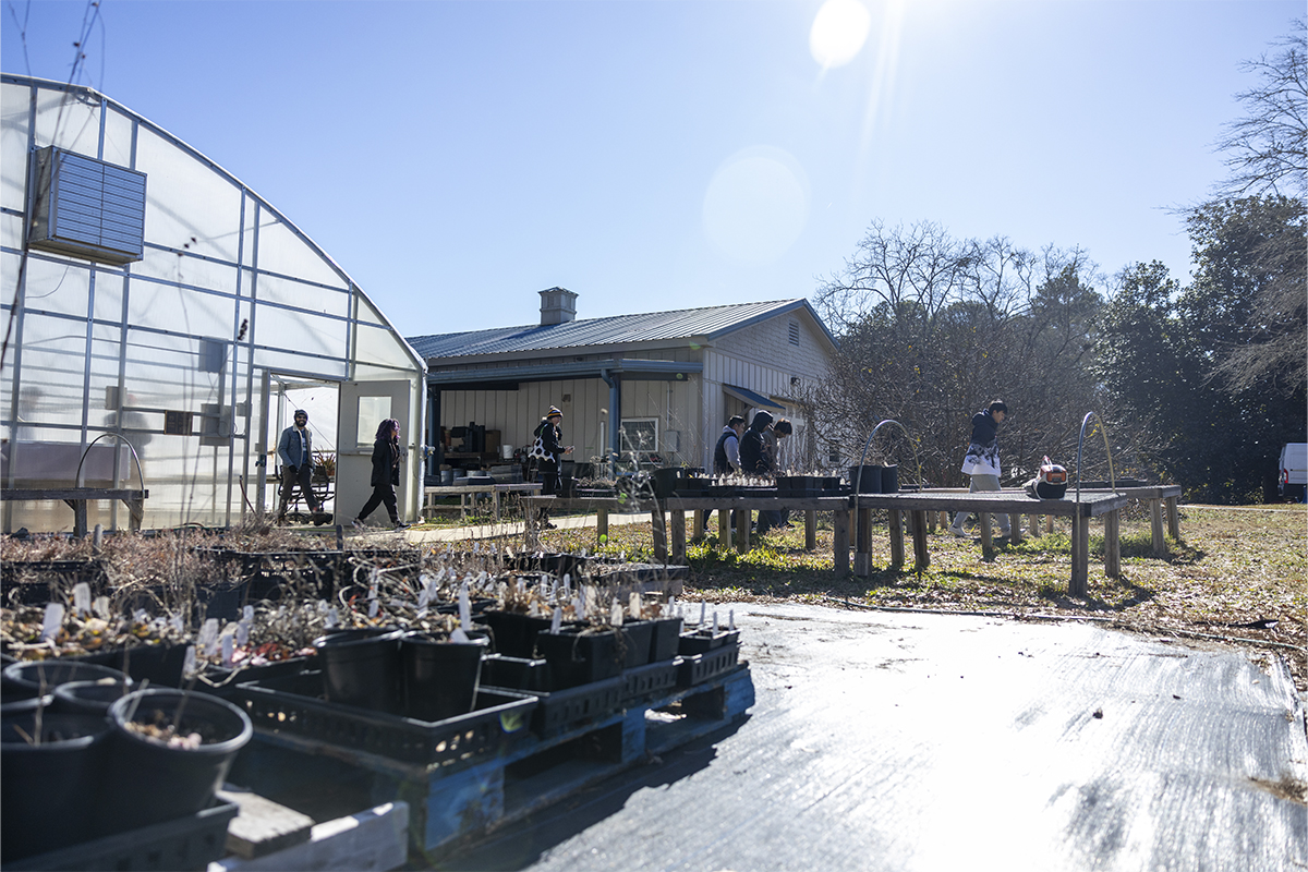 people working outside greenhouse