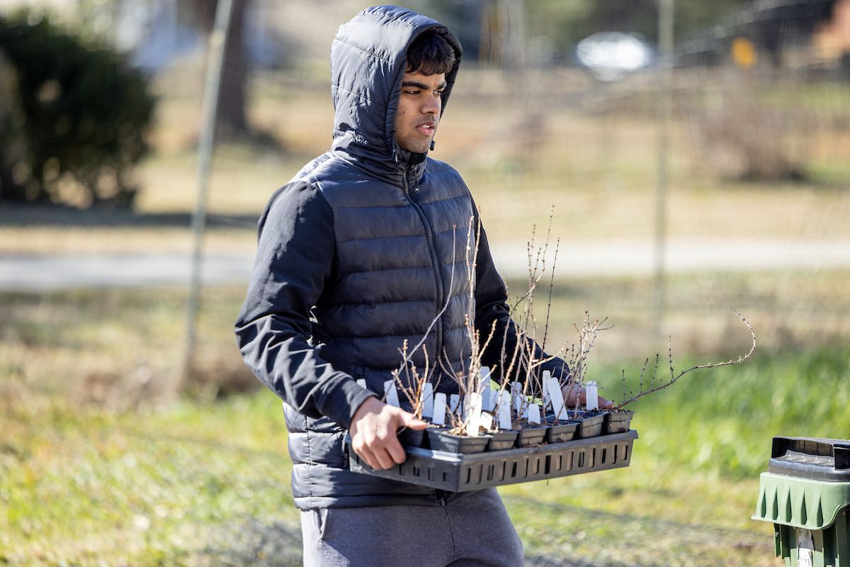 student carrying plants 