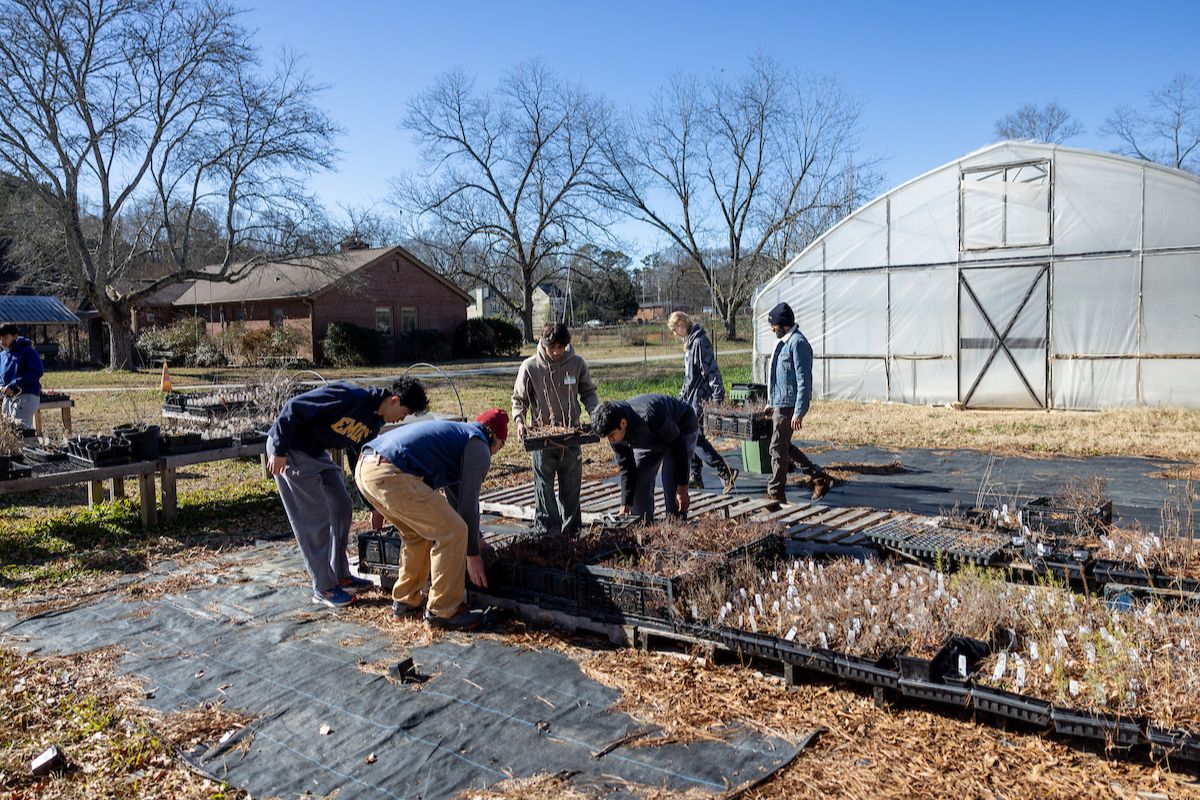 students working in garden