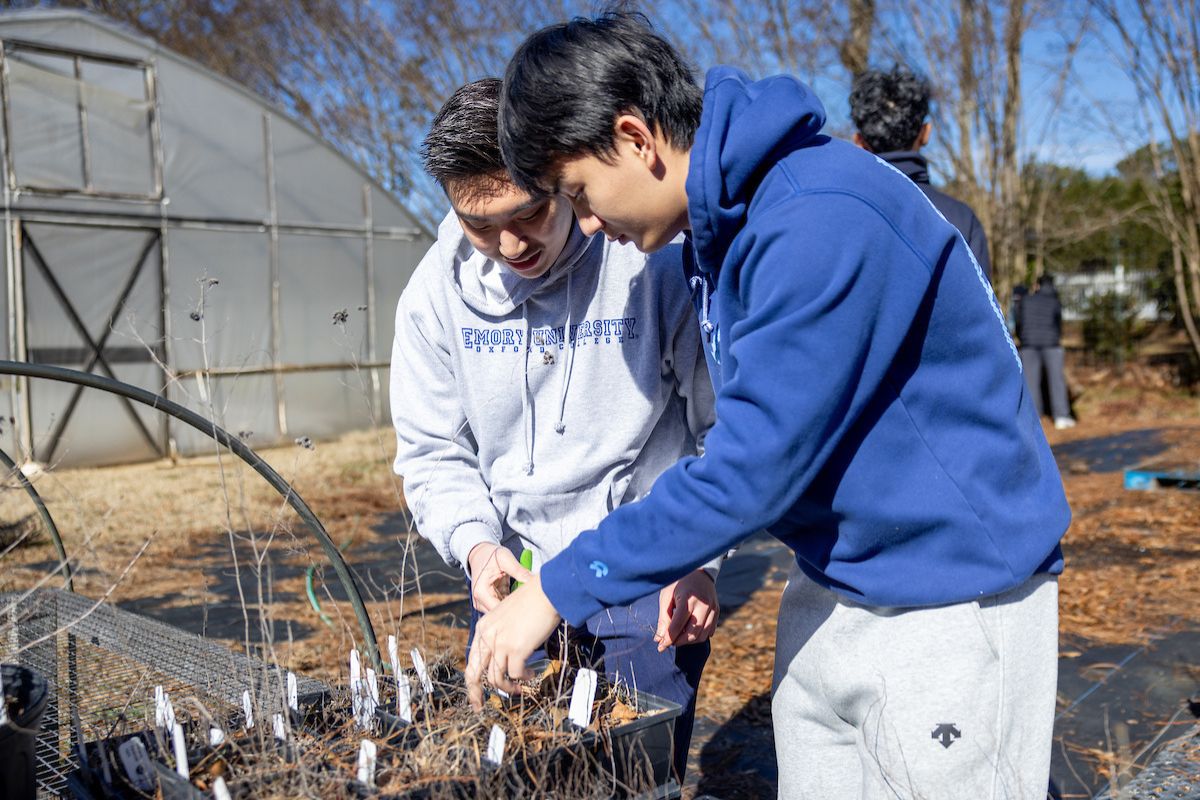 students working in garden