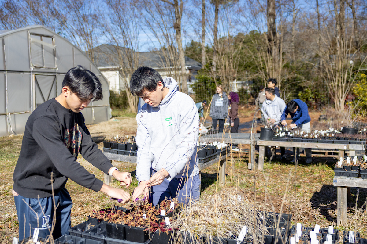 students working in garden