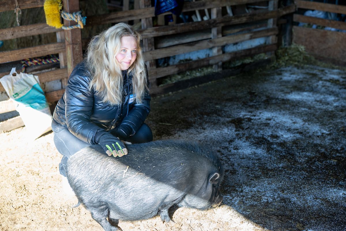 person petting pig 