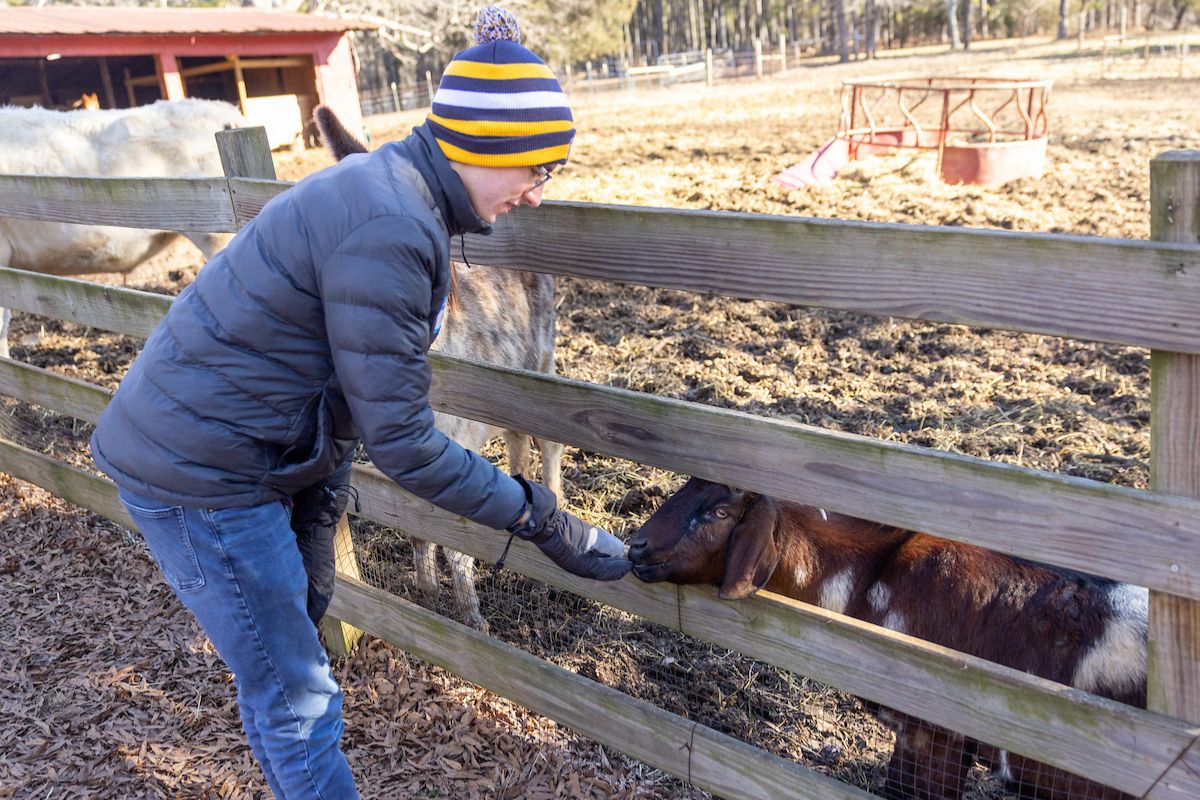 person petting goat 