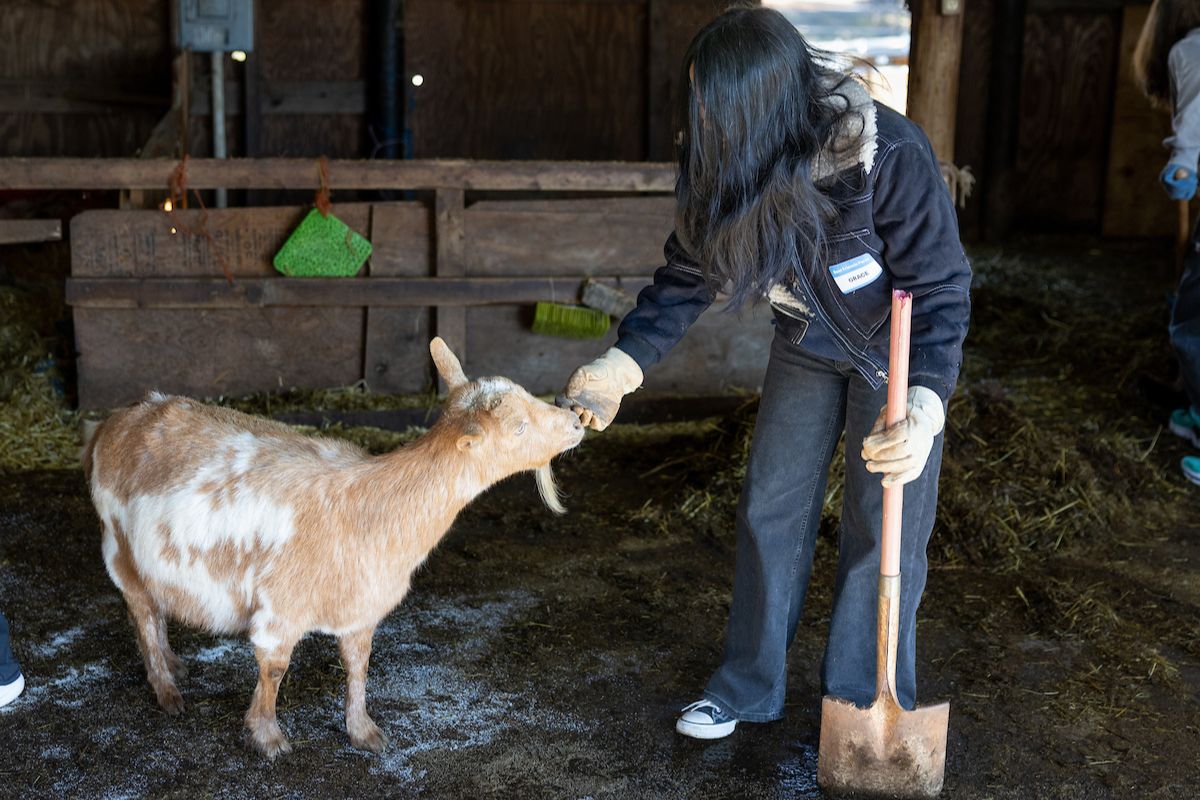 person petting goat 