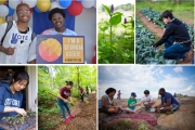 Emory recognizes faculty, students and staff as 2024 Sustainability Innovators