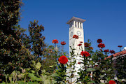 Provost’s Distinguished Teaching Awards recognize graduate, professional school faculty excellence