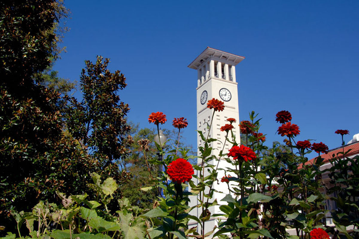 clock tower with red flowers 